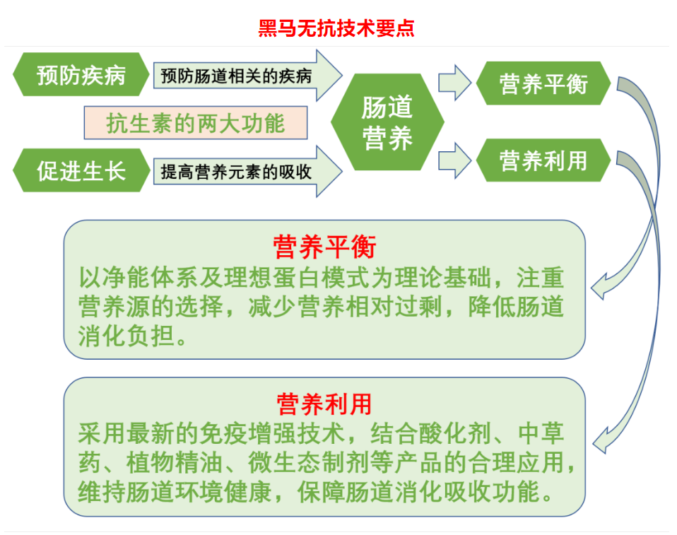 無(wú)抗新技術(shù)，..