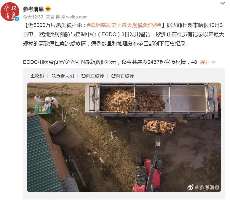 關注！歐洲暴發(fā)史上最大規(guī)模禽流感，波及37個國家！近5000萬只禽類被撲殺，蛋價會上漲么？