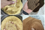 飼料原料驗收的“望、聞、問、切”